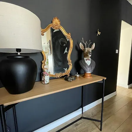 T3 Hyper Centre Parking Prive Vue Chateau Apartment Saumur